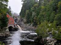 Nova Scotia mill stream and gull 0067